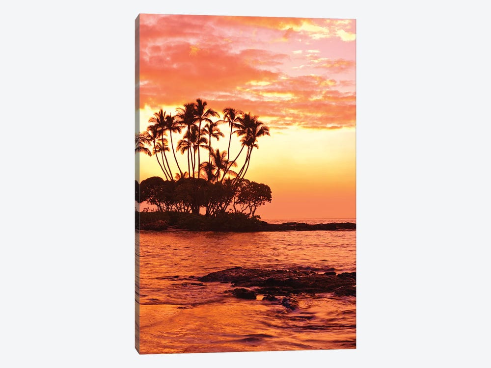 Tropical Sunset, Big Island, Hawai'i, USA 1-piece Canvas Print