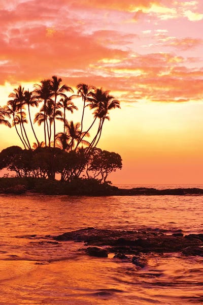 Michael DeFreitas: Tropical Sunset, Big Island, Hawai'i, USA by Michael DeFreitas
