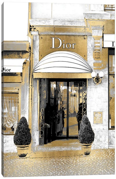 Designer Entrance VI Canvas Art Print - Dior Art