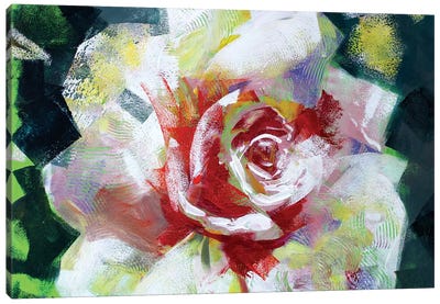 Flower III Canvas Art Print - Marina Del Pozo