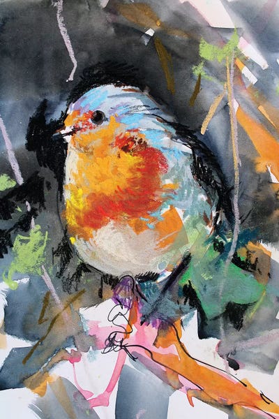 Petirrojo by Marina Del Pozo framed wall art