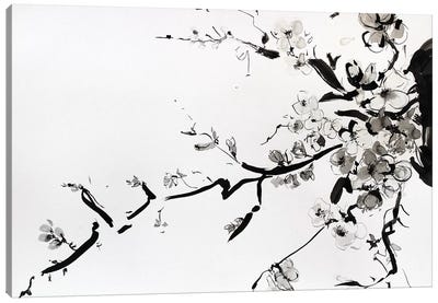 Sumi-E Canvas Art Print - Cherry Tree Art