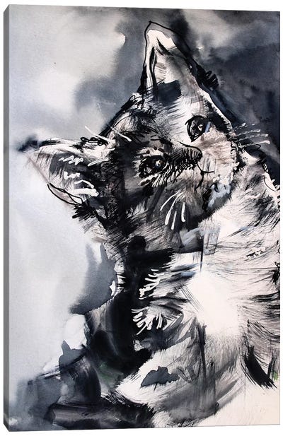 The Cat Canvas Art Print