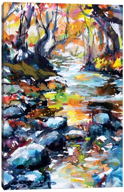 The River Canvas Art Print - Rock Art