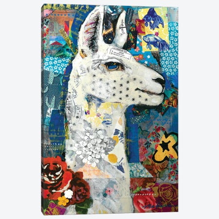 Llama Canvas Print #MDR33} by Madara Mason Canvas Artwork