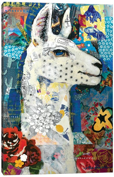 Llama Canvas Art Print - Madara Mason