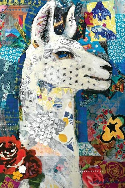 Madara Mason: Llama by Madara Mason