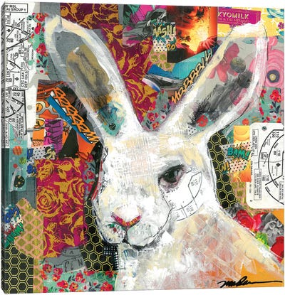 Rabbit Rabbit Canvas Art Print - Madara Mason