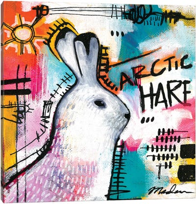 Alpha Hare Canvas Art Print - Madara Mason