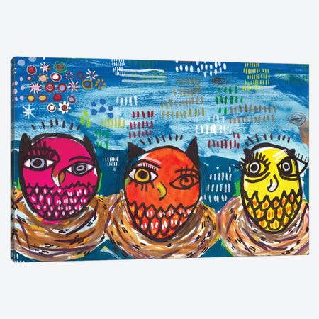Three Little Owls Canvas Print #MDR65} by Madara Mason Canvas Wall Art