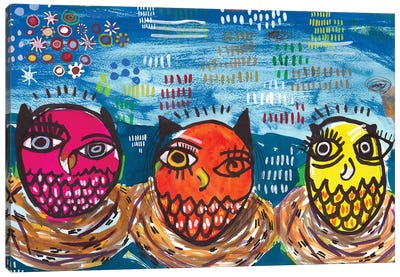 Three Little Owls Canvas Art Print - Madara Mason