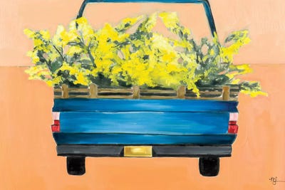 Acacia Truck by Meredith Steele gallery poster