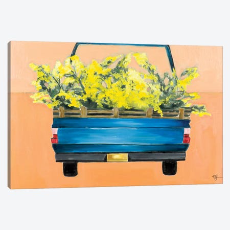 Acacia Truck Canvas Print #MDS1} by Meredith Steele Canvas Artwork