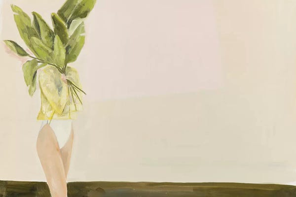 Bohemian Décor: Birds Of Paradise by Meredith Steele