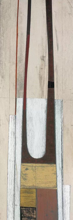 Triad II by Matias Duarte canvas print