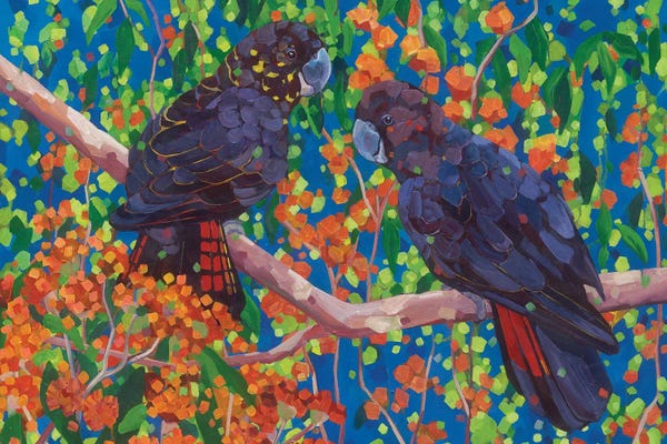 Parrots: By Your Side by Melissa Read-Devine