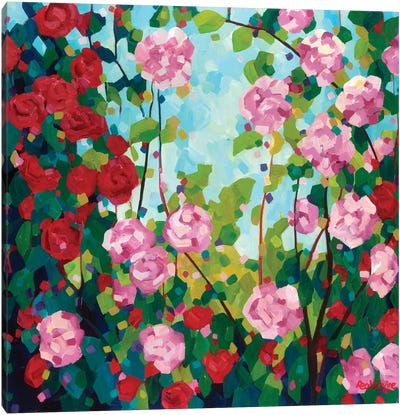 Camellias Canvas Art Print - Melissa Read-Devine