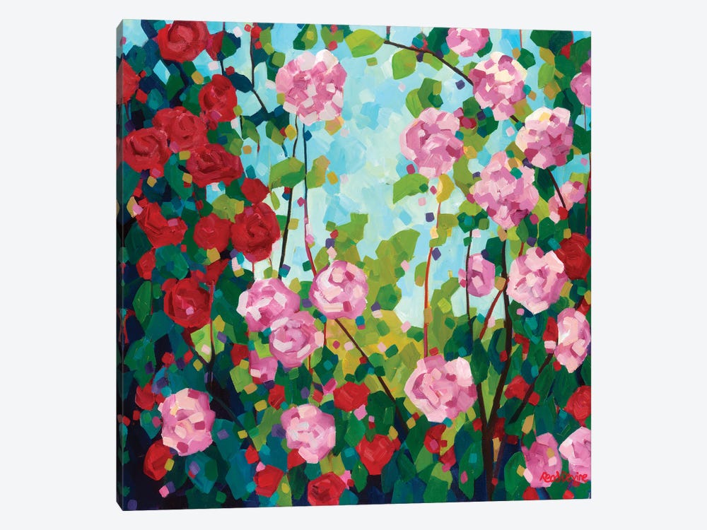 Camellias by Melissa Read-Devine 1-piece Canvas Artwork