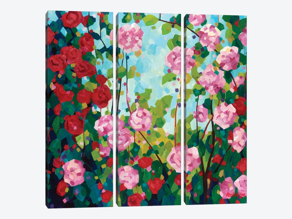 Camellias by Melissa Read-Devine 3-piece Canvas Art