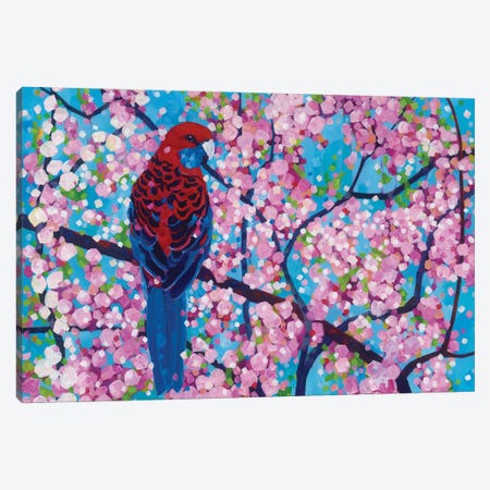 Cherry Pink Canvas Print #MDV14} by Melissa Read-Devine Canvas Art Print