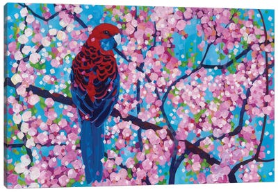 Cherry Pink Canvas Art Print - Melissa Read-Devine