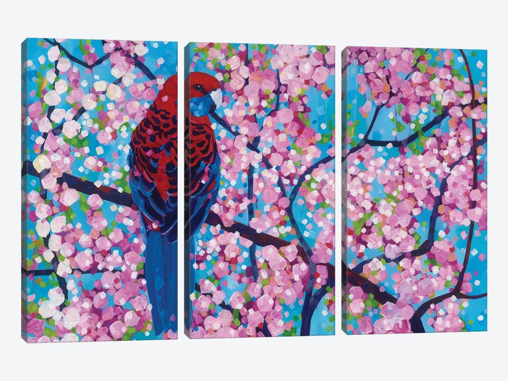 Cherry Pink by Melissa Read-Devine 3-piece Canvas Print