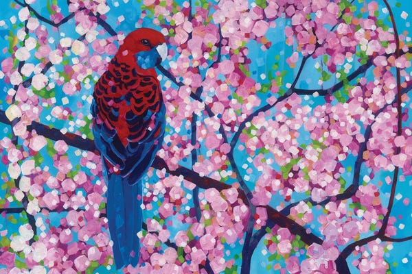 Parrots: Cherry Pink by Melissa Read-Devine