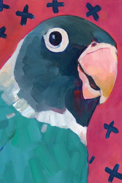 Parrots: Clyde by Melissa Read-Devine