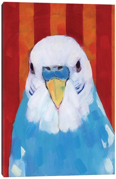 Don Vito Canvas Art Print - Parakeet Art