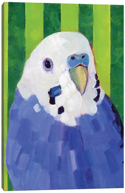 Fat Tony Canvas Art Print - Parakeet Art