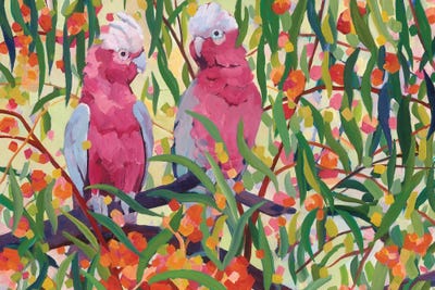 Galahs by Melissa Read-Devine acrylic art print