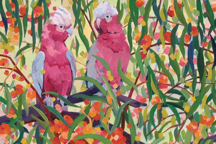 Galahs