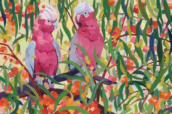 Melissa Read-Devine: Galahs by Melissa Read-Devine