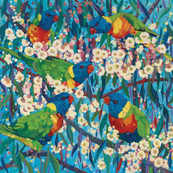 Parrots: Good Times by Melissa Read-Devine