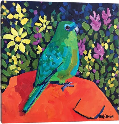 Happy Place Canvas Art Print - Parakeet Art