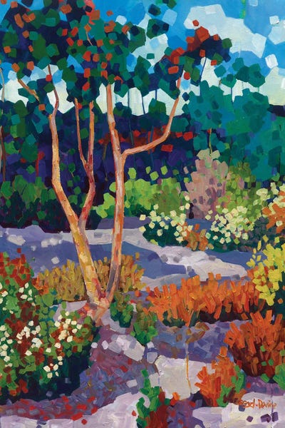 I Dream In Colour by Melissa Read-Devine acrylic art print