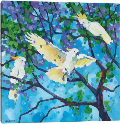 Larrikins Canvas Art Print - Cockatoo Art
