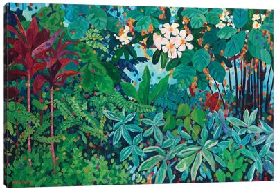 Lush Canvas Art Print - Jungles