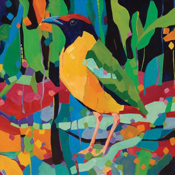 Melissa Read-Devine: Noisy Pitta by Melissa Read-Devine