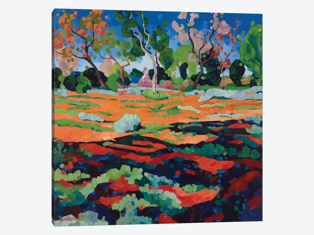 Our Land Is A Garden by Melissa Read-Devine 1-piece Canvas Artwork
