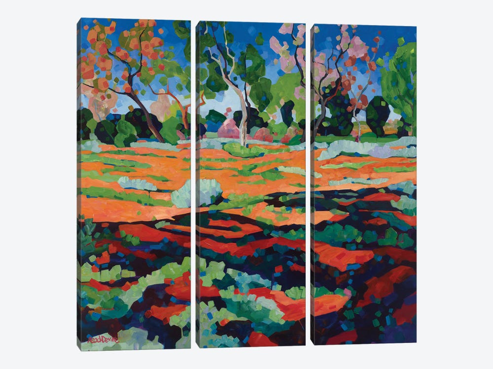Our Land Is A Garden by Melissa Read-Devine 3-piece Canvas Art