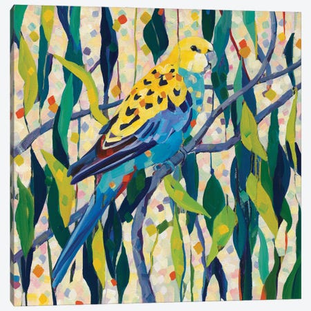 Parrot Canvas Print #MDV50} by Melissa Read-Devine Canvas Art
