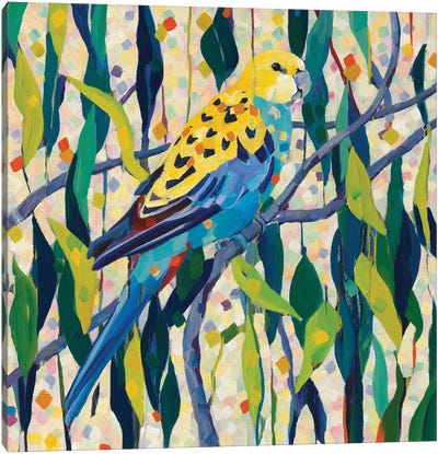 Parrot Canvas Art Print - Melissa Read-Devine