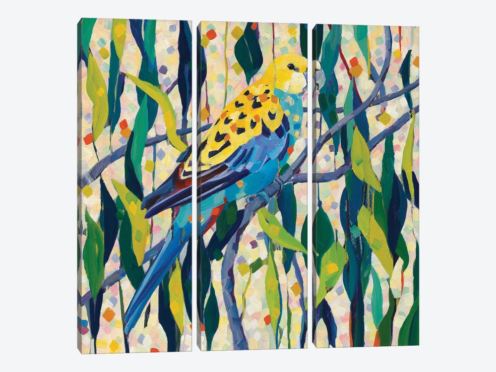 Parrot by Melissa Read-Devine 3-piece Canvas Print