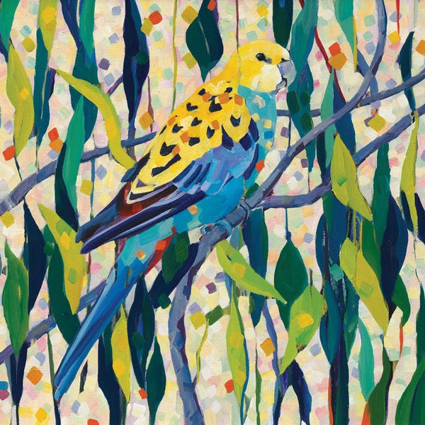 Melissa Read-Devine: Parrot by Melissa Read-Devine