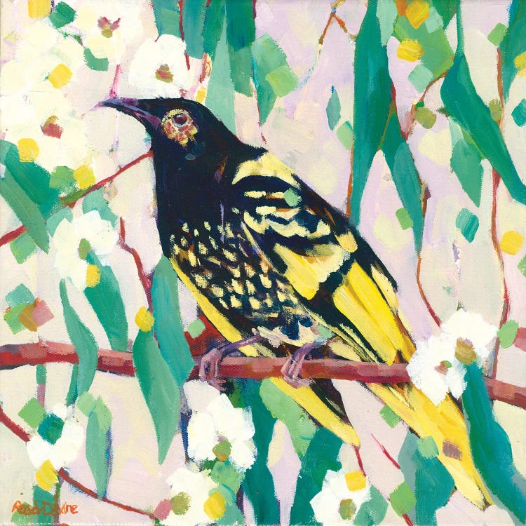 Regent Honeyeater