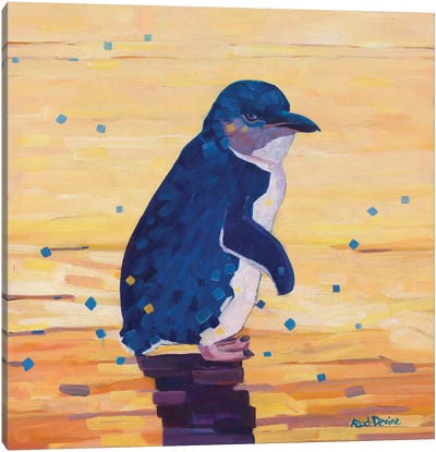 The Little Penguin Canvas Art Print - Penguin Art