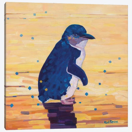 The Little Penguin Canvas Print #MDV65} by Melissa Read-Devine Canvas Artwork