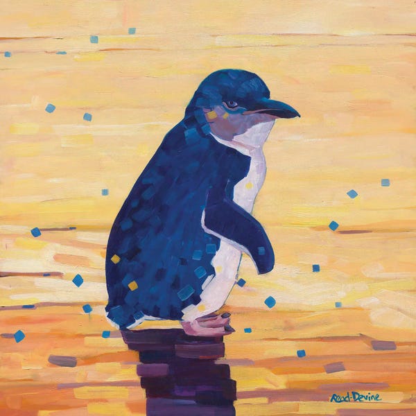 Melissa Read-Devine: The Little Penguin by Melissa Read-Devine