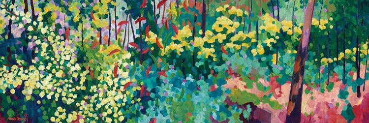 Wattle Dreamscape by Melissa Read-Devine wall art